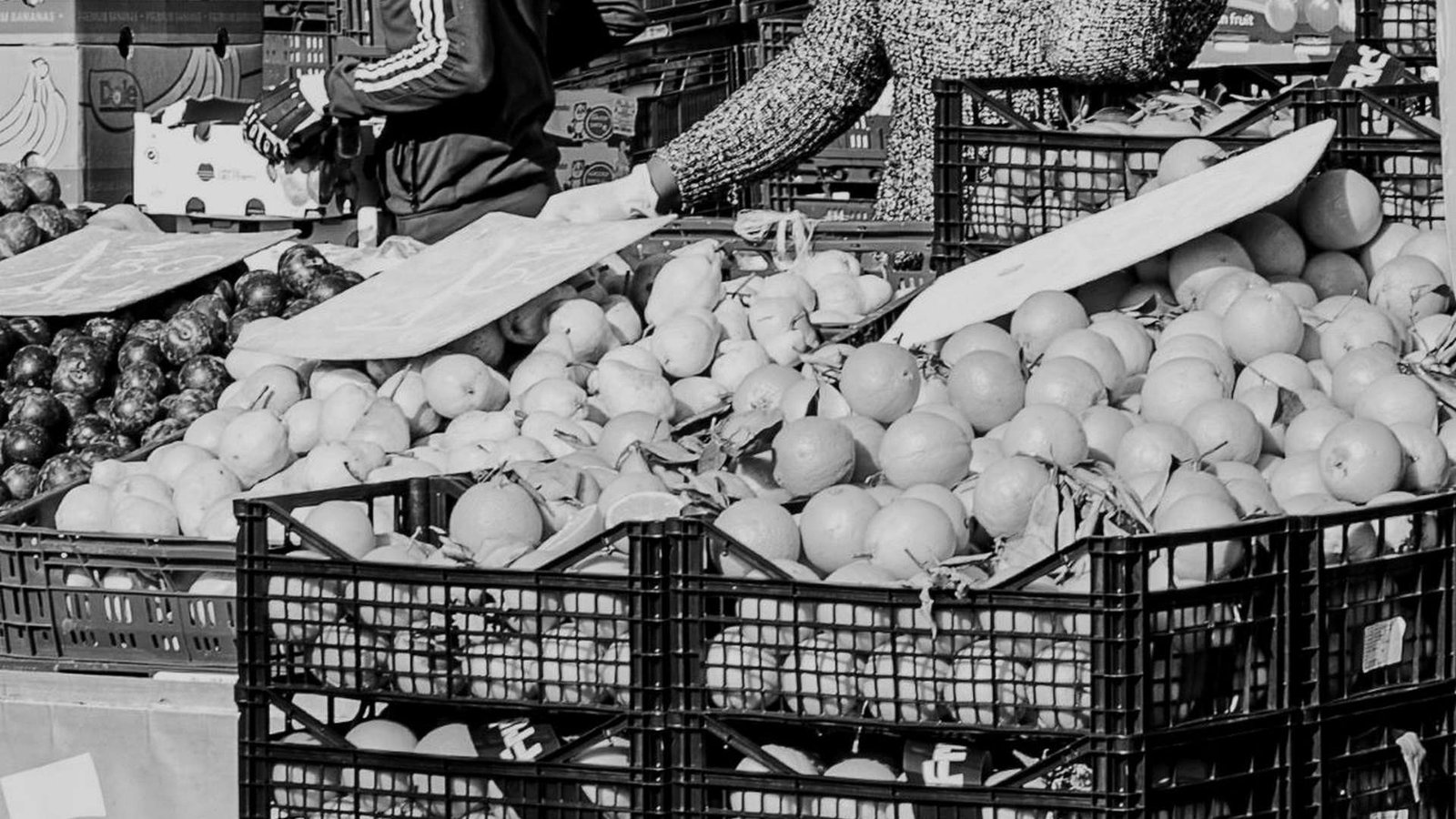 Bruno_Marche de la Batte 4-15