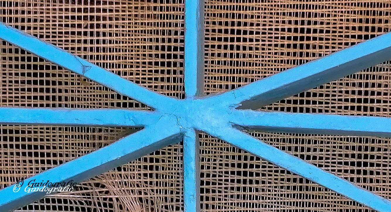 Blauw-1
