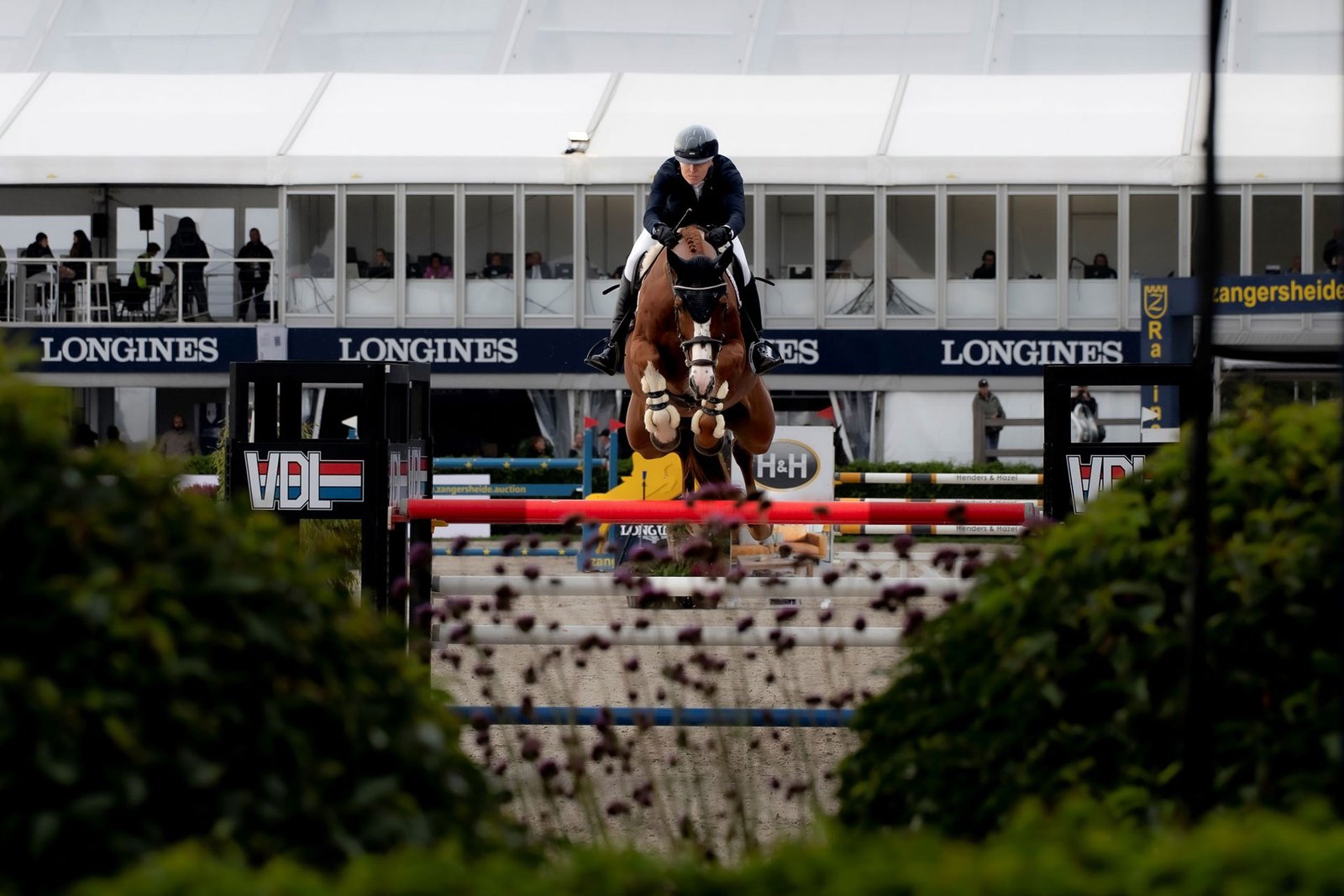 Domein-Zangersheide-Jumping-