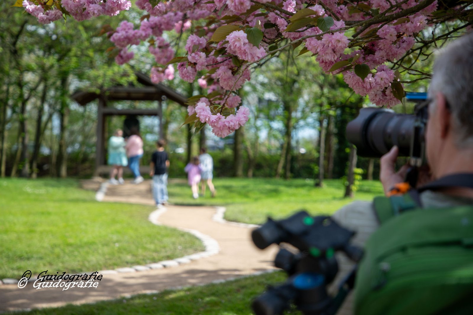 Fotografie Japanse tuin
