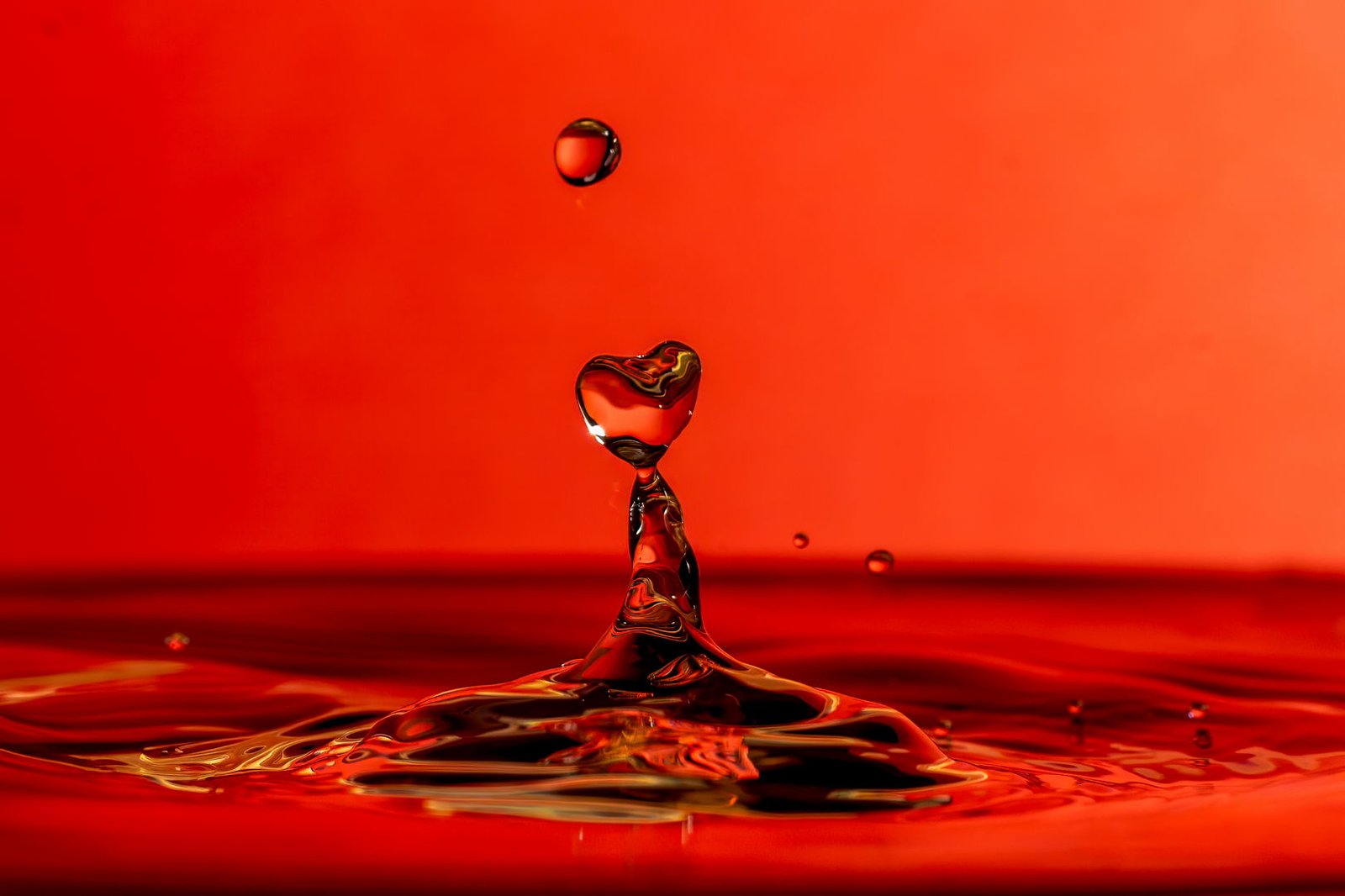 Splash fotografie