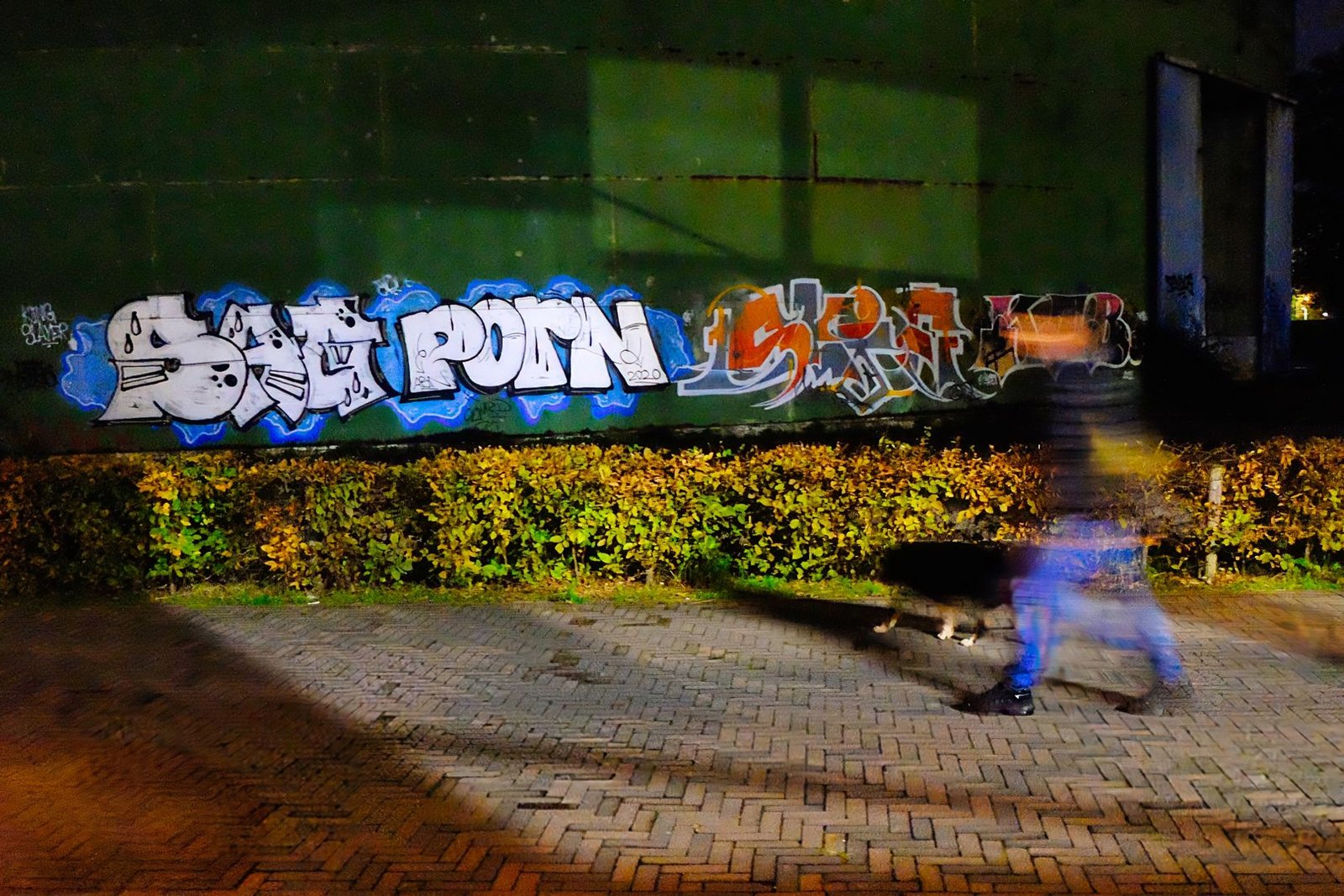mfuji1