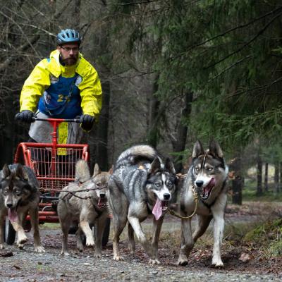 Sledehondenwedstrijd Sank Vith 1