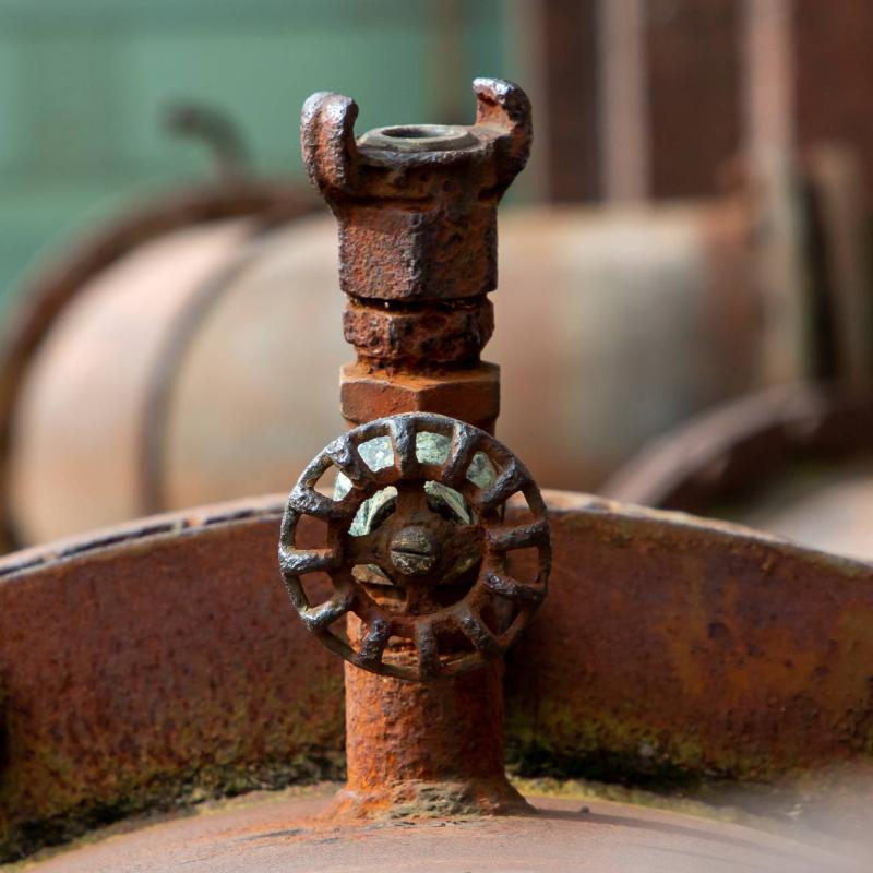 2023 Landschafstparki Duisburg 45