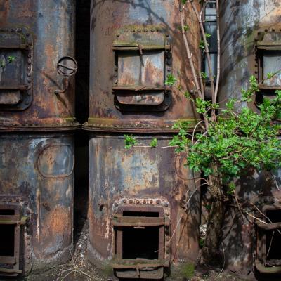 2023 Landschafstparki Duisburg 51