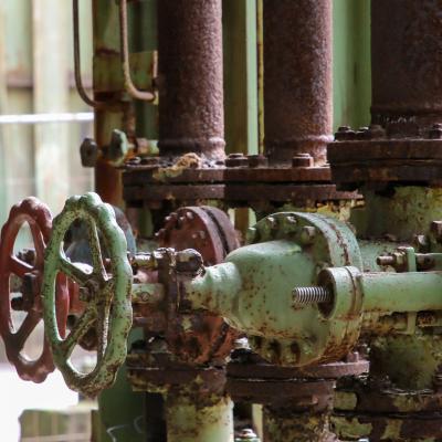 2023 Landschafstparki Duisburg 69