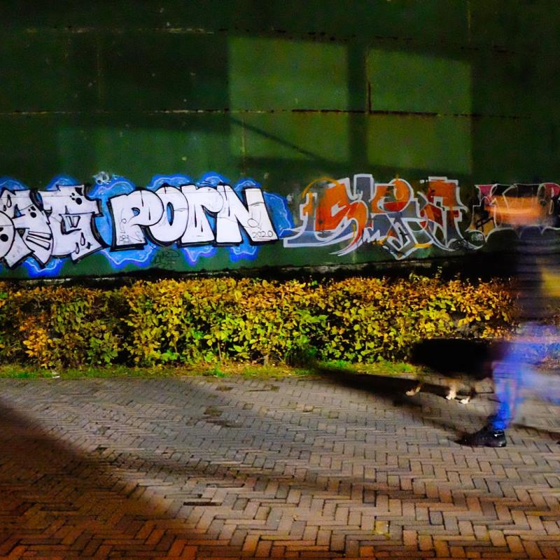 Mfuji1
