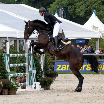 Domein Zangersheide Jumping 17b Van 34