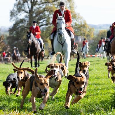 2022slipjacht 33 Bewerkt