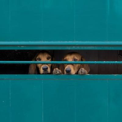 Slipjacht Mheer 11 Van 12