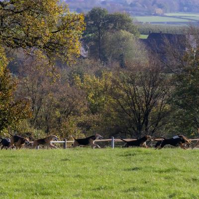 Slipjacht Mheer 3 Web