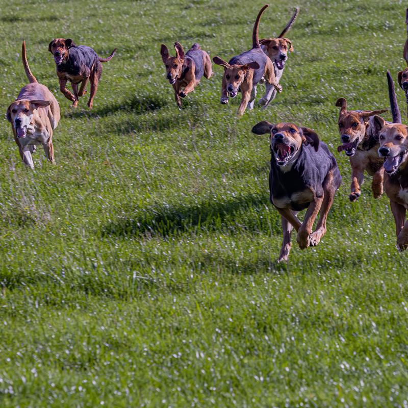 Slipjacht Mheer 4 Web